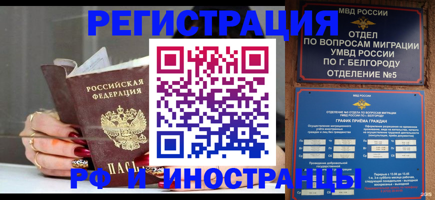 прописка в Палласовке